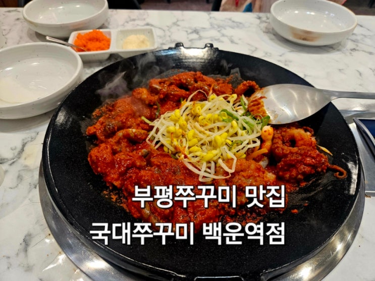  인천 백운역 국대쭈꾸미 부평백운점 방문후기 쭈꾸미 맛집