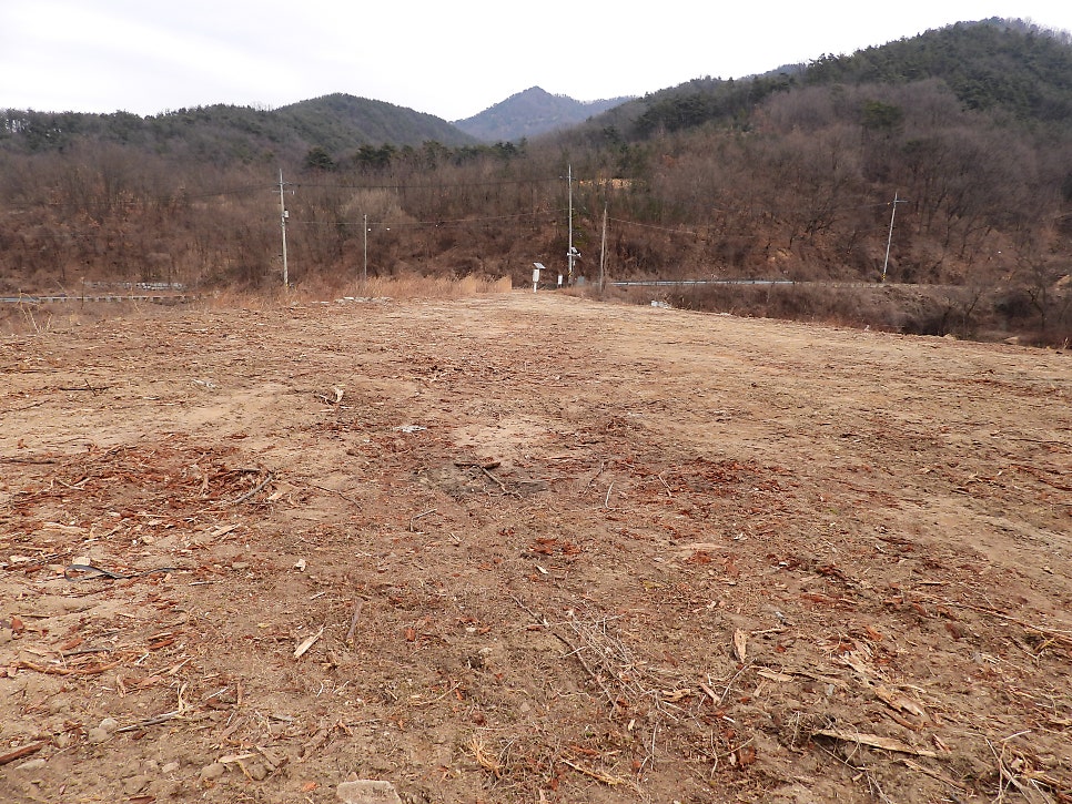 노산소류지 사진 5