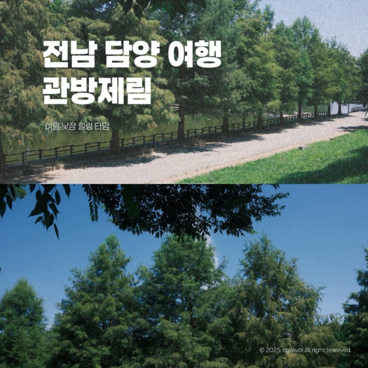  전남 담양 관방제림 여름 낮잠 힐링 타임
