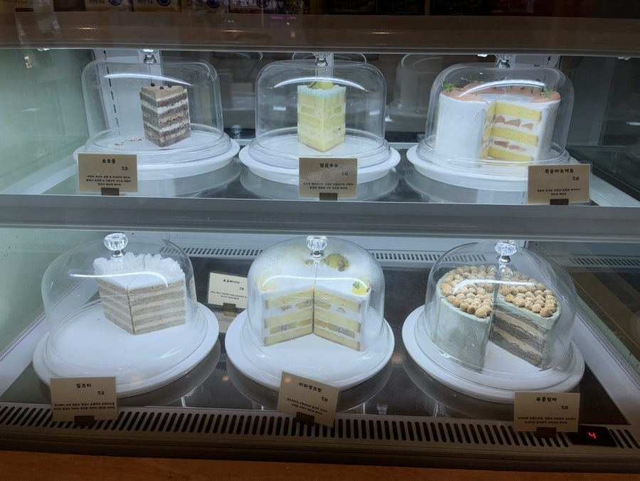 타이디 사진 3