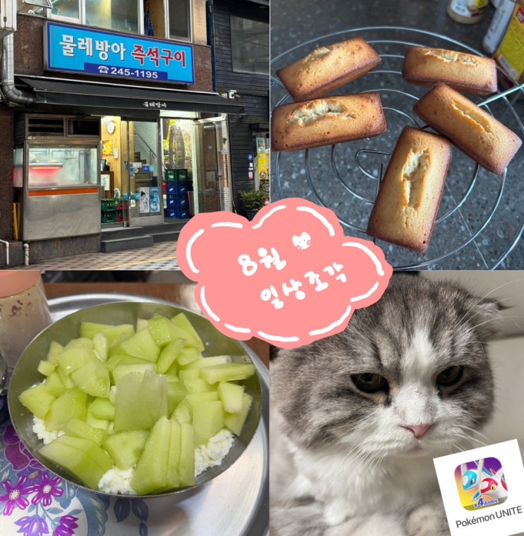  8월 일상 조각 