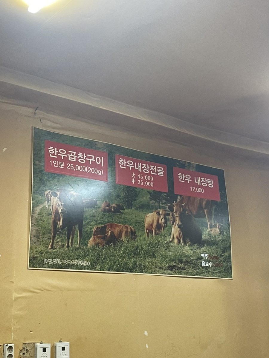 내곱창돌리도 사진 3