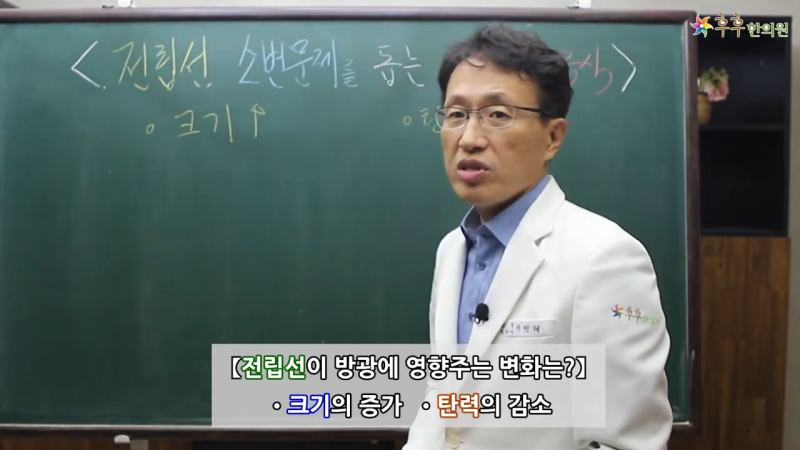 전립선에좋은음식, 약재 한방차