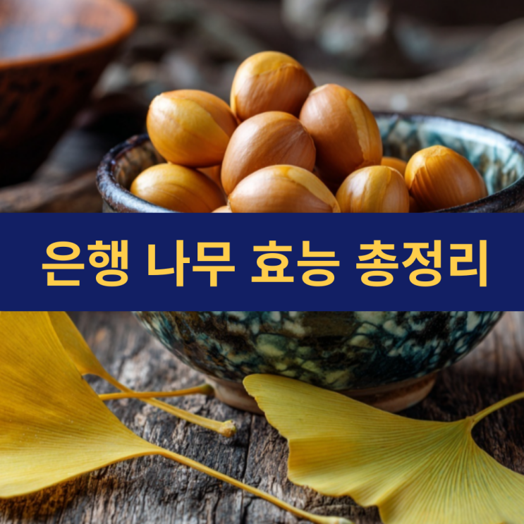  은행의 효능 | 징코빌로바 | 부위별 효능 | 은행나무 수명 | 은행나무 열매 냄새는 왜 고약할까?