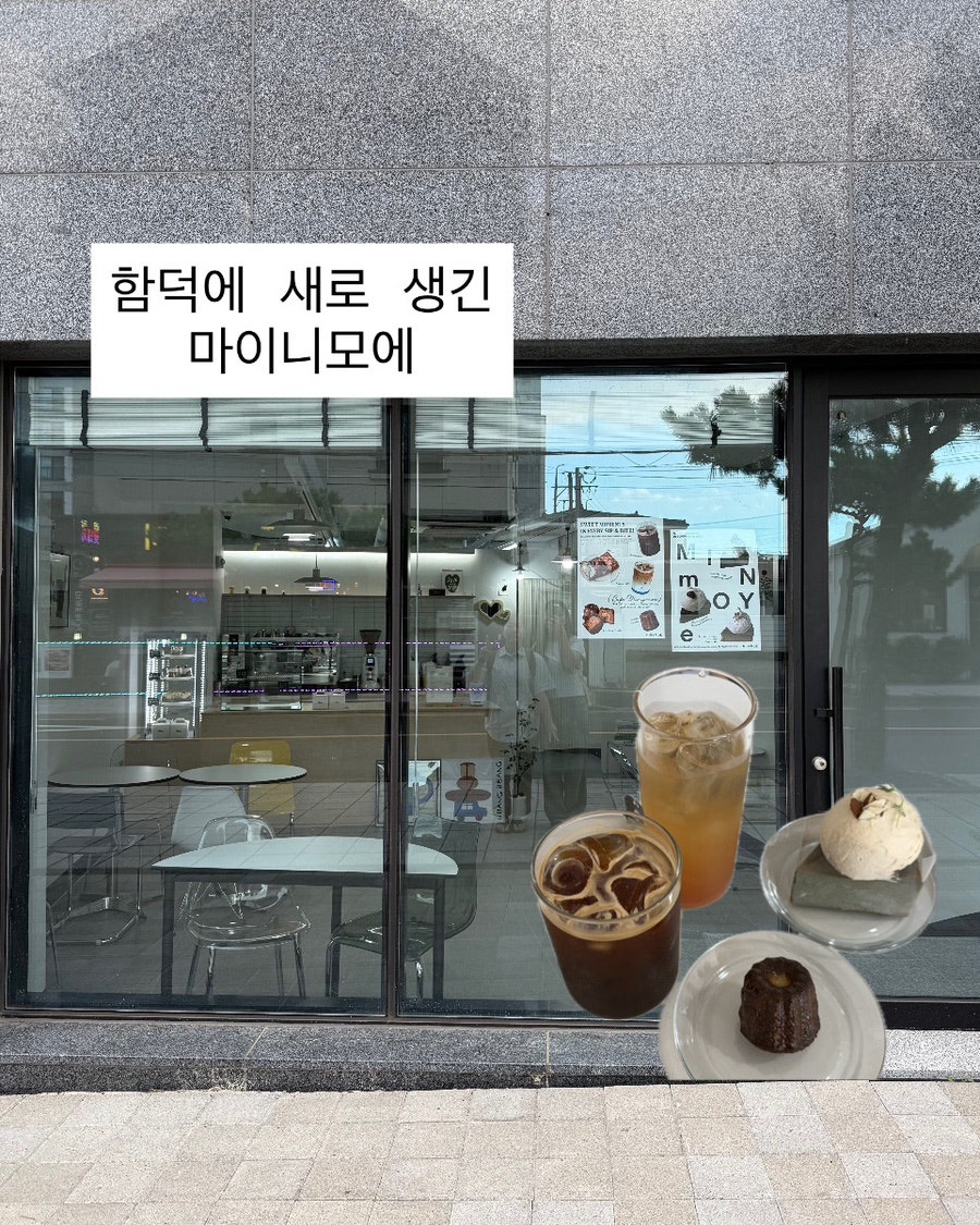 마이니모에 사진 1