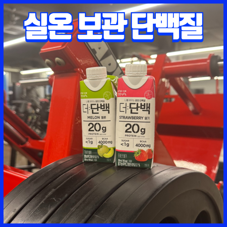  실온 보관 가능한 저당 100% 우유 단백질 WPI, 운동 후 최고의 단백질 보충제
