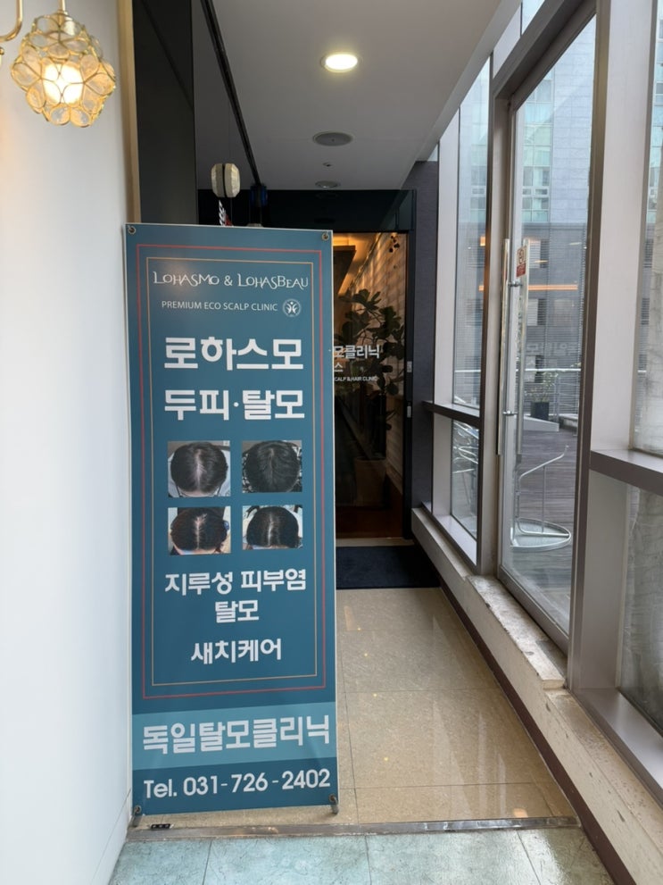  [판교] 독일 로하스모 판교센터 / 판교 두피관리, 자라나라 모리모리! / 판교역 탈모(관리맛집)
