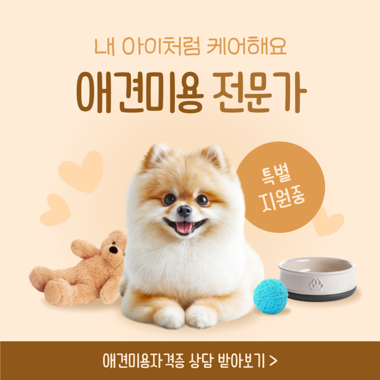  나만 몰랐던 광주애견미용 A to Z