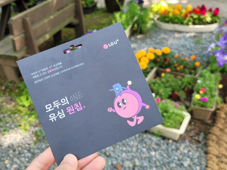  LG 원칩 유심 편의점 선불폰 개통 절차 정리