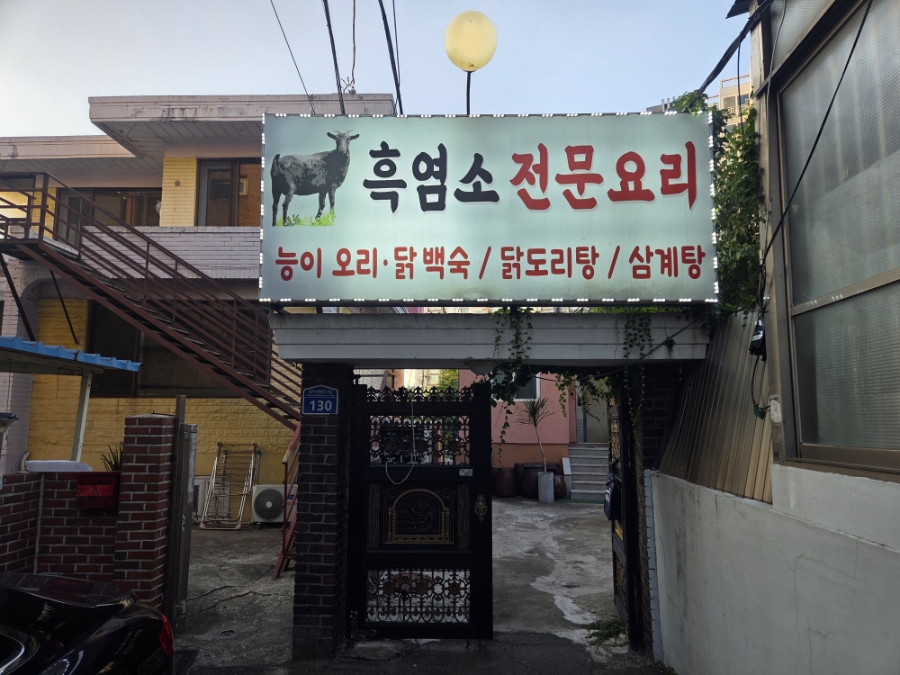 살구나무집 사진 1