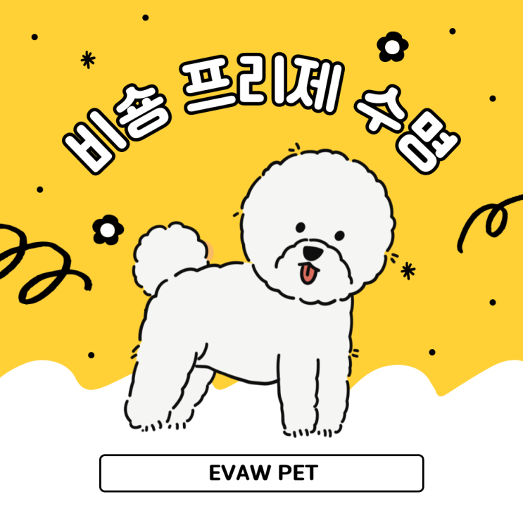   비숑수명, 더 오래 행복하려면? 전문적인 관리의 중요성을 알려드릴게요! 
