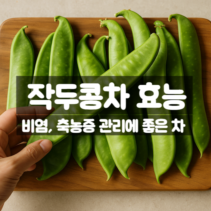  작두콩차 효능 부작용, 비염 축농증 등 기관지 건강에 좋은 차