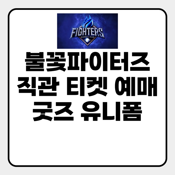  불꽃파이터즈 직관