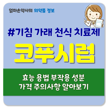 코푸시럽 기침 가래 천식 호흡기질환 효능 부작용 용법 주의사항 가격
