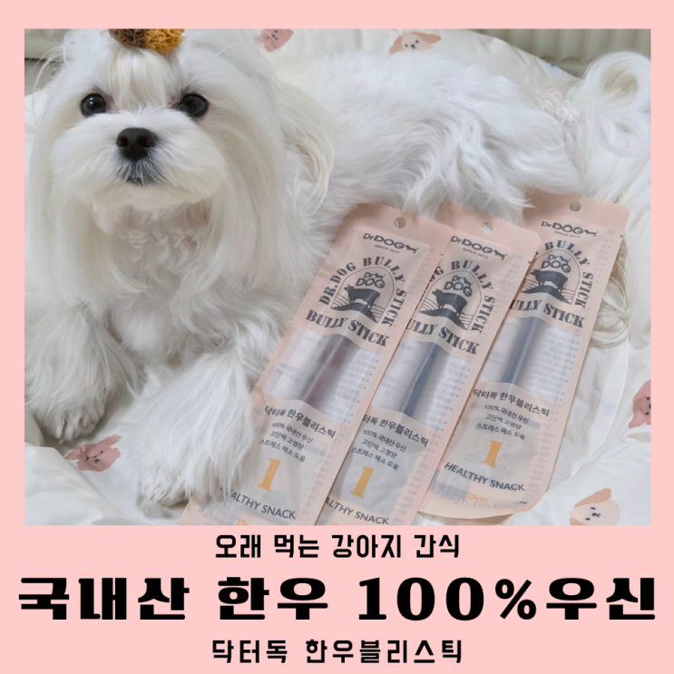  오래먹는 저알러지 강아지간식 닥터독 한우 블리스틱 리뷰