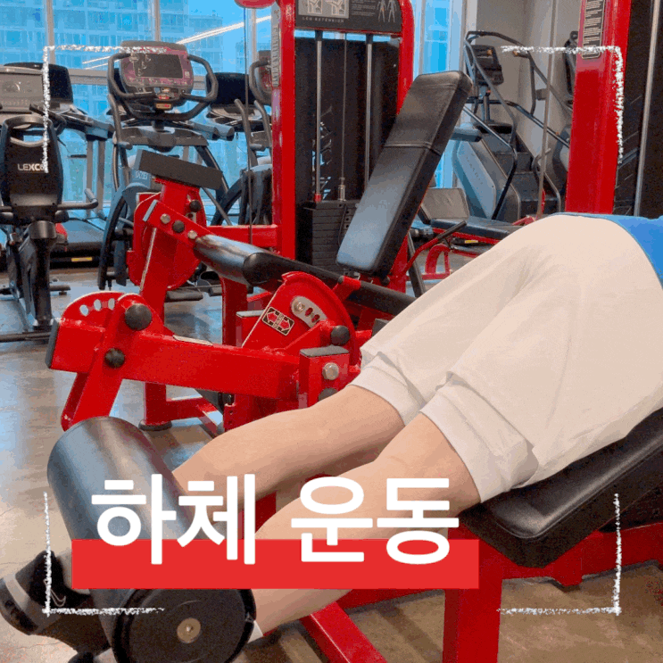  하체운동 필수 레그컬, 햄스트링과 대퇴이두근 키우는 법