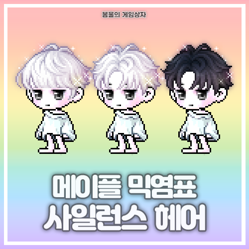  메이플스토리 사일런스 헤어, 안개 사일런스 헤어, 밤의 사일런스 헤어 믹염표