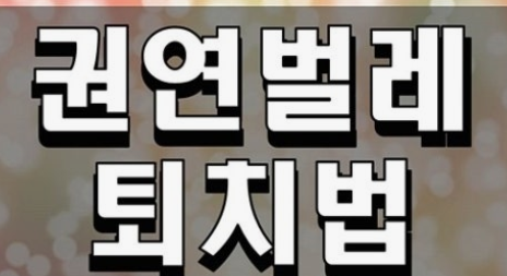 권연벌레 퇴치, 원인부터 잡아야 박멸! (내돈내산 트랩, 완벽 예방법)