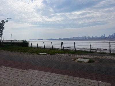 사진 4