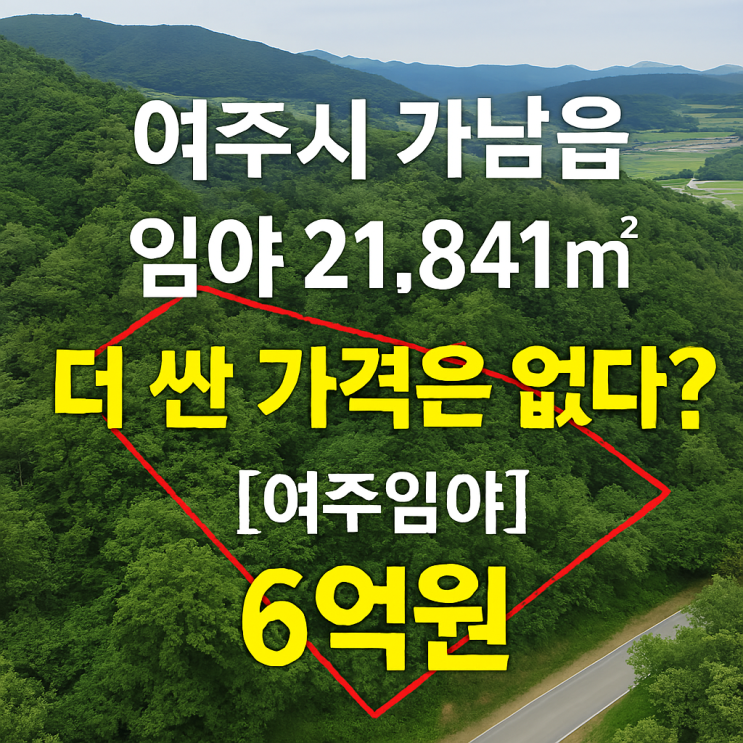  여주시 가남읍 임야 21,841 -더 싼 가격은 없다? 6억원[여주임야]