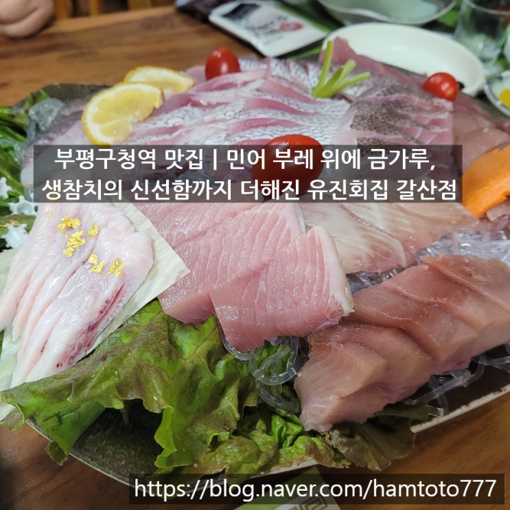  부평 참치｜유진회집 갈산점에서 즐긴 특별한 민어와 생참치