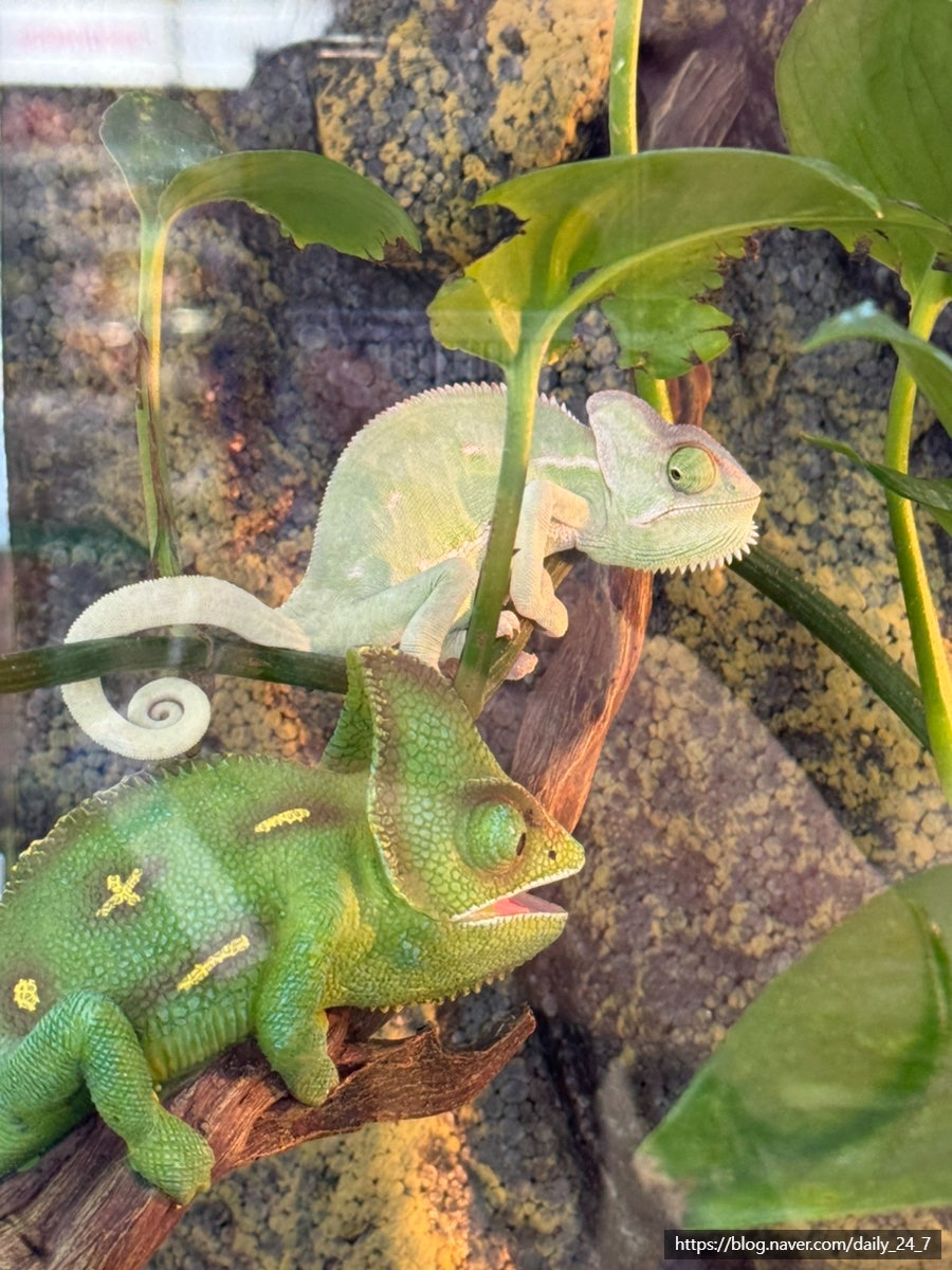 이볼하우스 사진 2