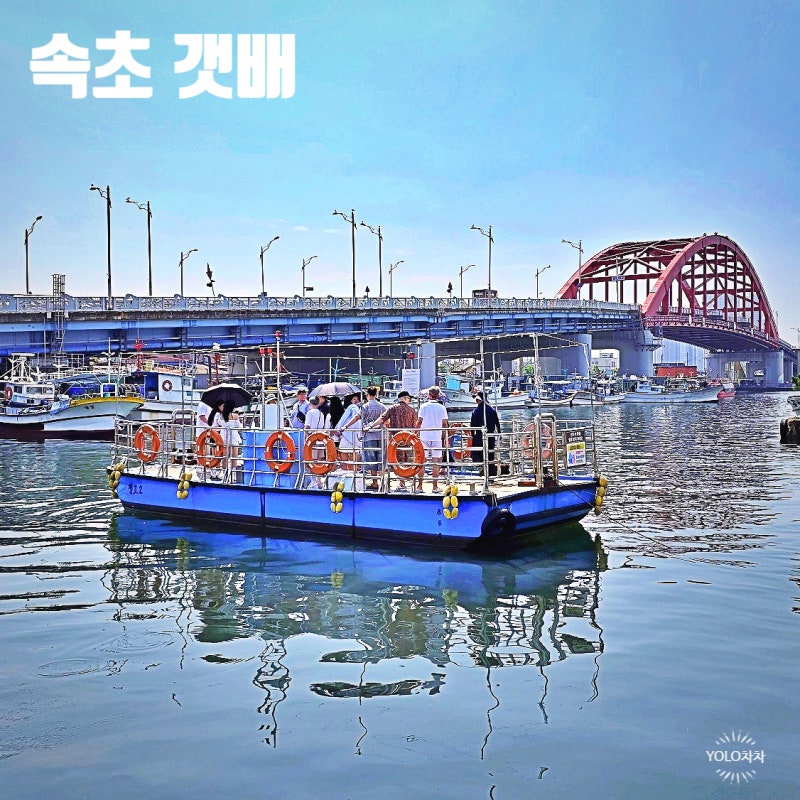 사진 5