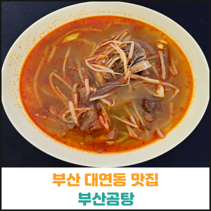  부산 대연동 맛집 부산곰탕 밀키트 후기