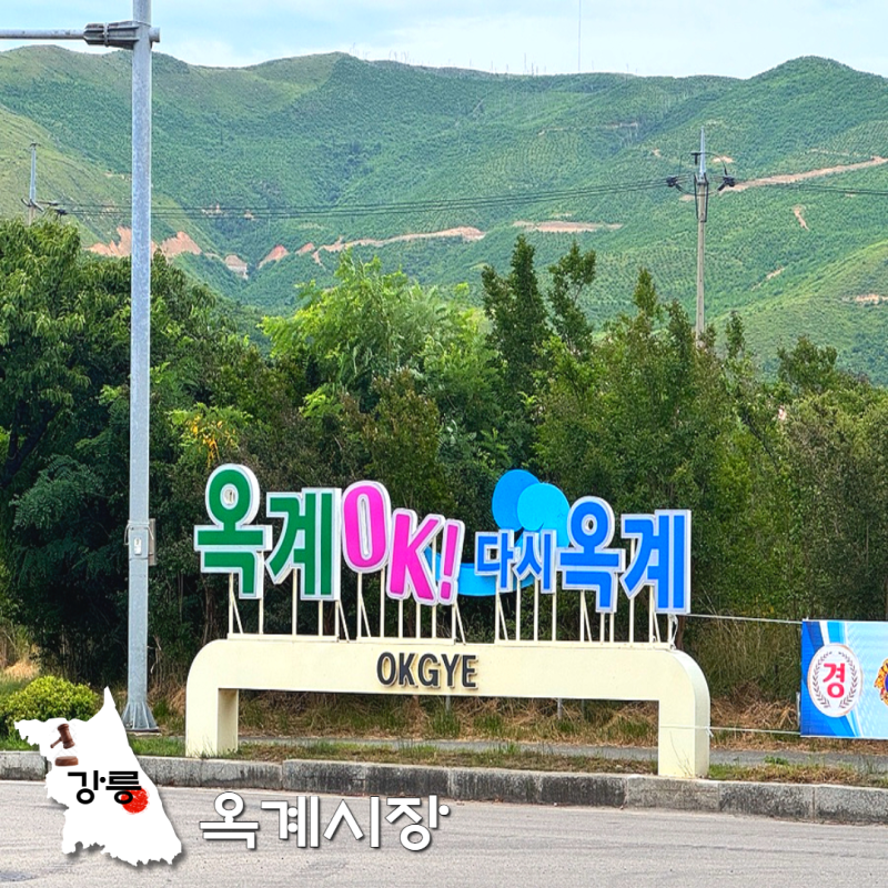 사진 3