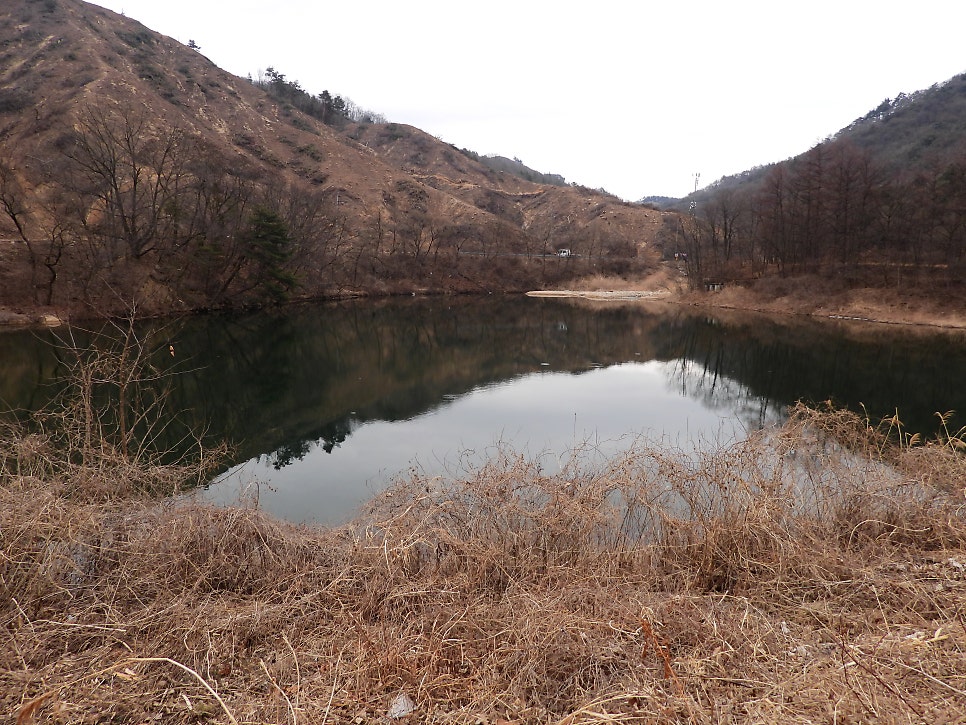 노산소류지 사진 6