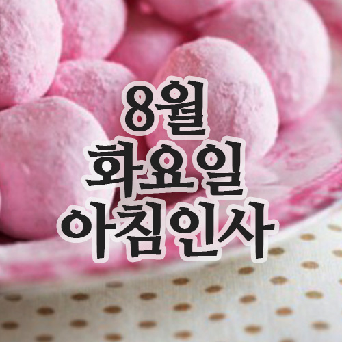  8월의 인사말 19일 화요일 아침인사 문자