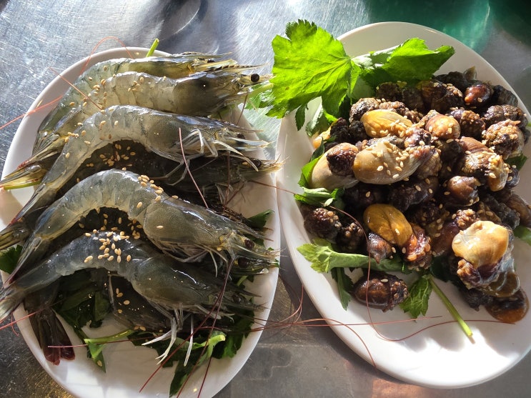 대전 해산물 맛집 싱싱한 해산물과 노포감성 포차 해물건강원