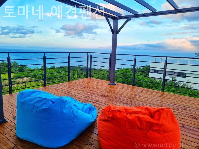 사진 12