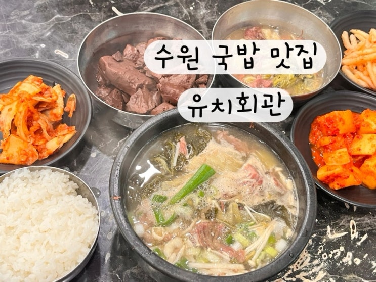 [경기도 수원] 내돈내산 전현무계획 국밥 해장국 수육 맛집 유치회관 리뷰