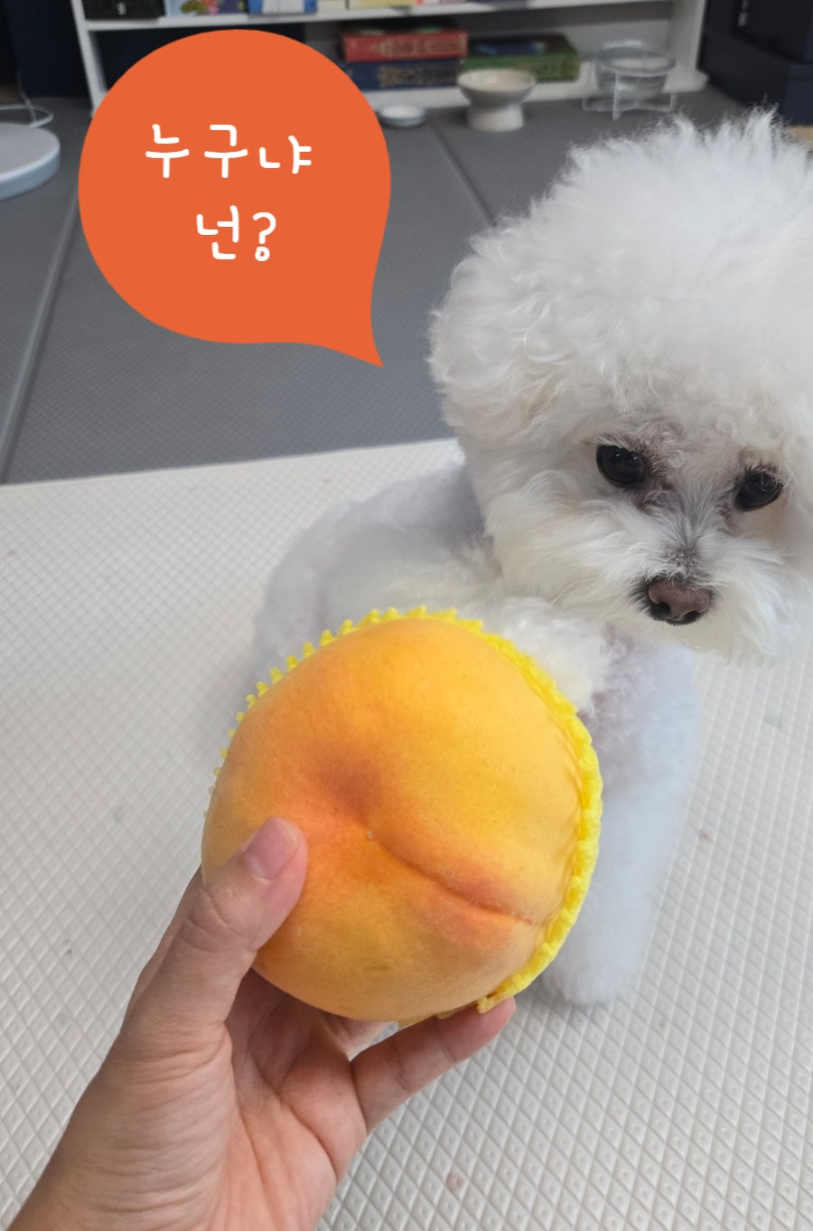 백장골 사진 1