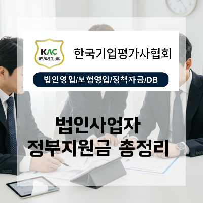  부산 법인사업자정부지원금 정부지원사업과 은행대출 비교 내 사업에 유리한 선택법