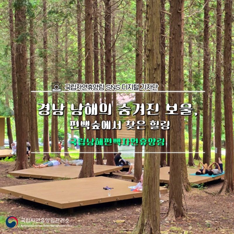 경남 남해의 숨겨진 보물, 국립남해편백자연휴양림에서 찾은 힐링