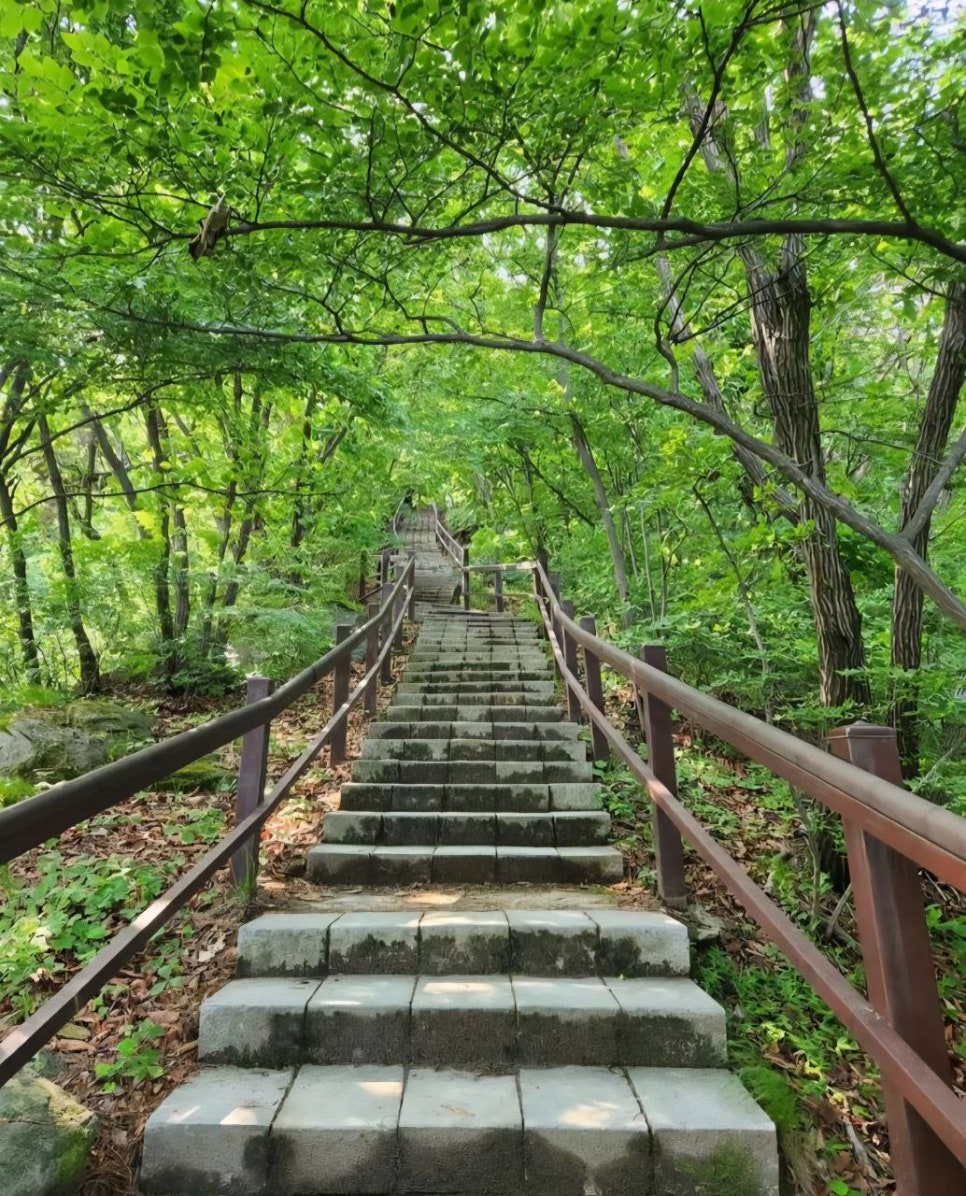 영등산 사진 1