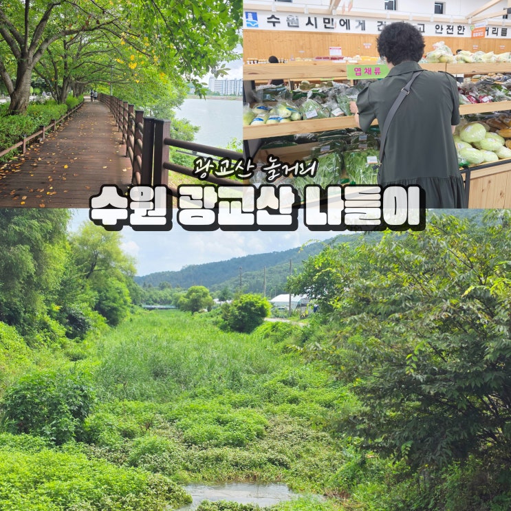  수원 광교산 난이도 광교저수지 드라이브 나들이