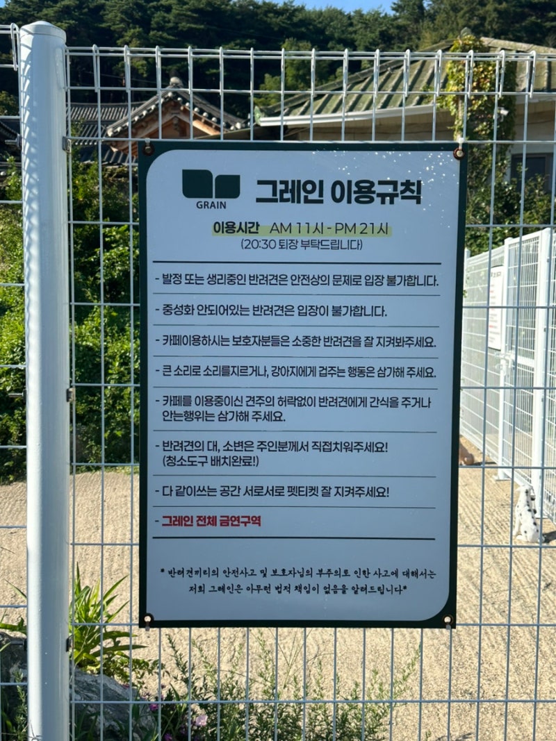사진 5