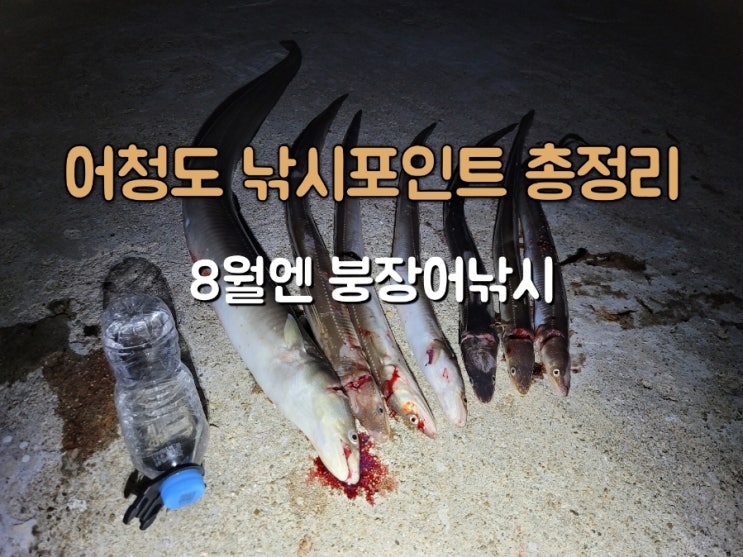  8월낚시 어청도 낚시포인트 총정리