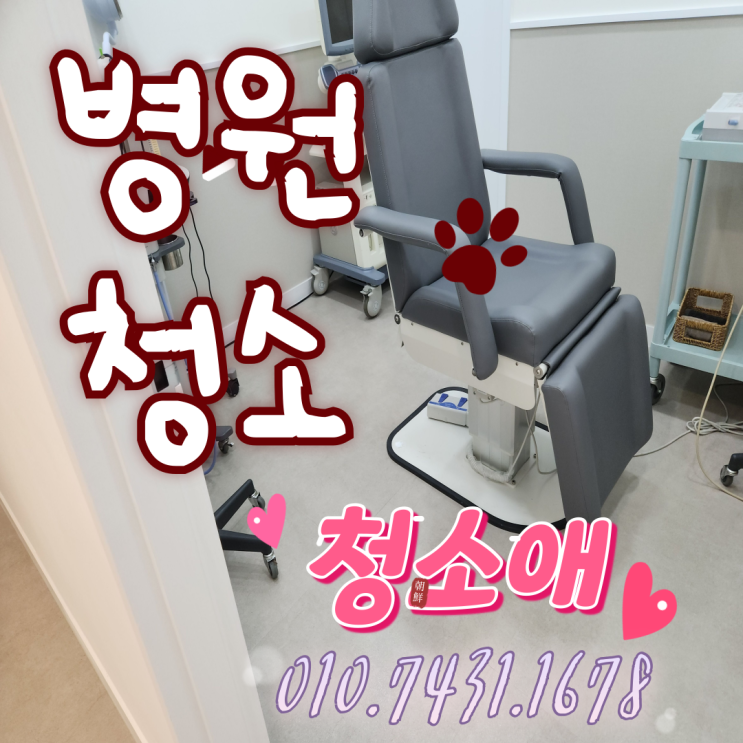  의정부 병원청소, 주5회 정기관리로 깨끗하게 유지하는 비결