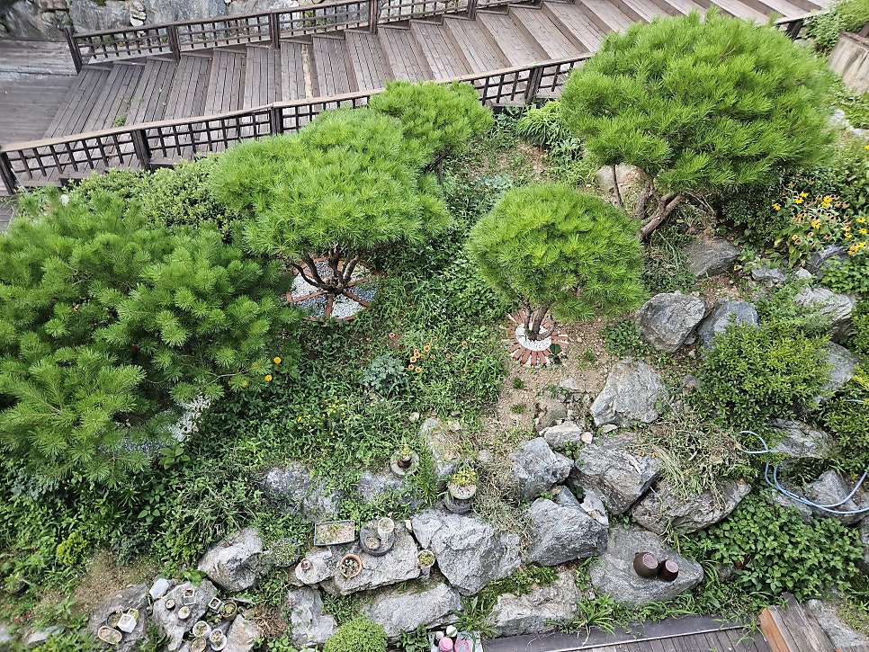 소머리국밥은행나무집 사진 6