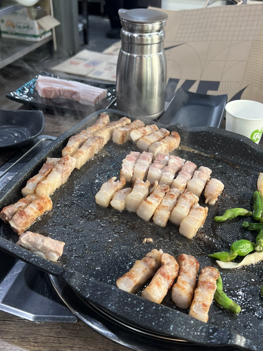 꿀꿀돼지 사진 5