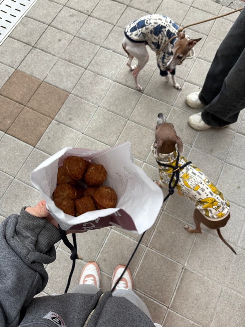 사진 5