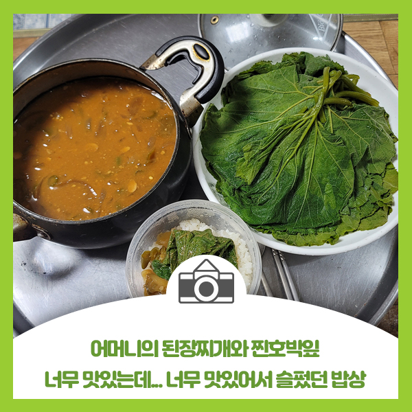  어머니의 된장찌개와 찐호박잎 너무 맛있는데... 너무 맛있어서 슬펐던 밥상