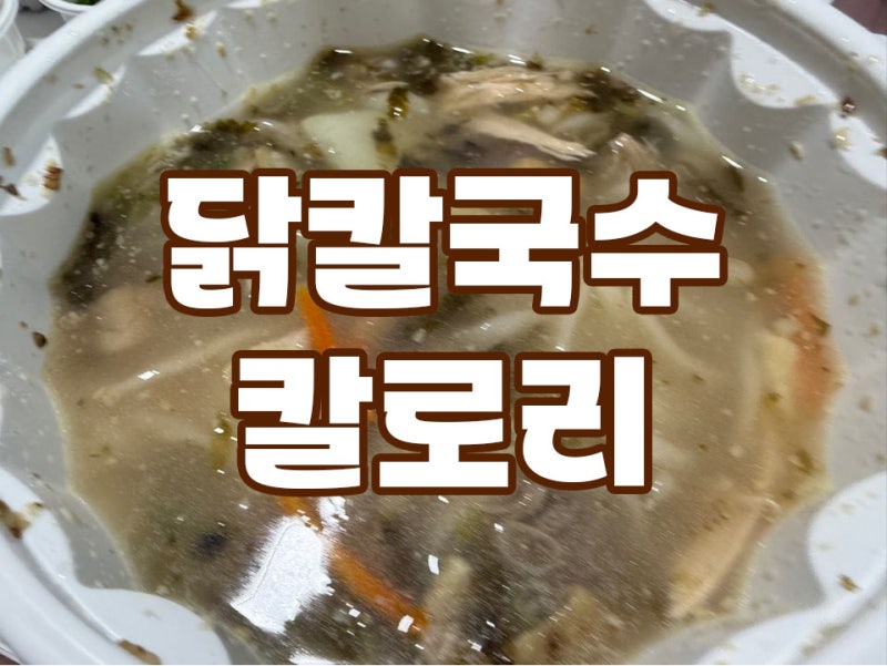 닭칼국수 한그릇 칼로리! 먹어도 되는 날은 언제?