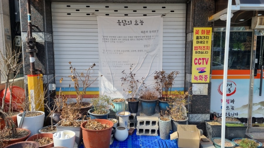 도원동동식당 사진 2