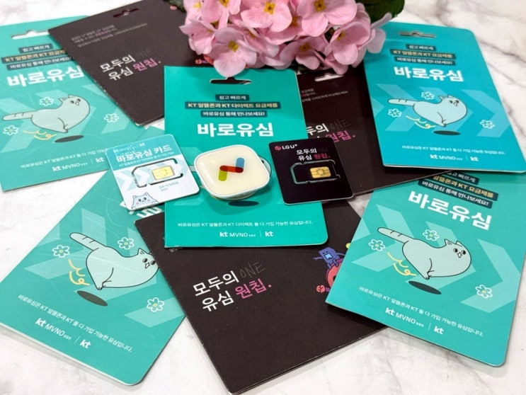  대구선불폰 온라인 개통 절차와 준비물