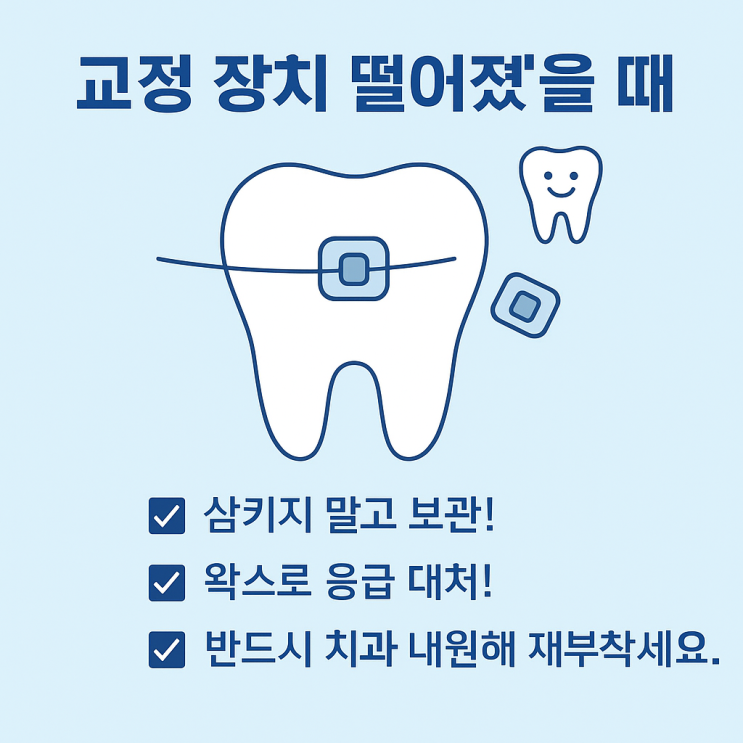   교정 장치가 떨어졌을 때 대처법